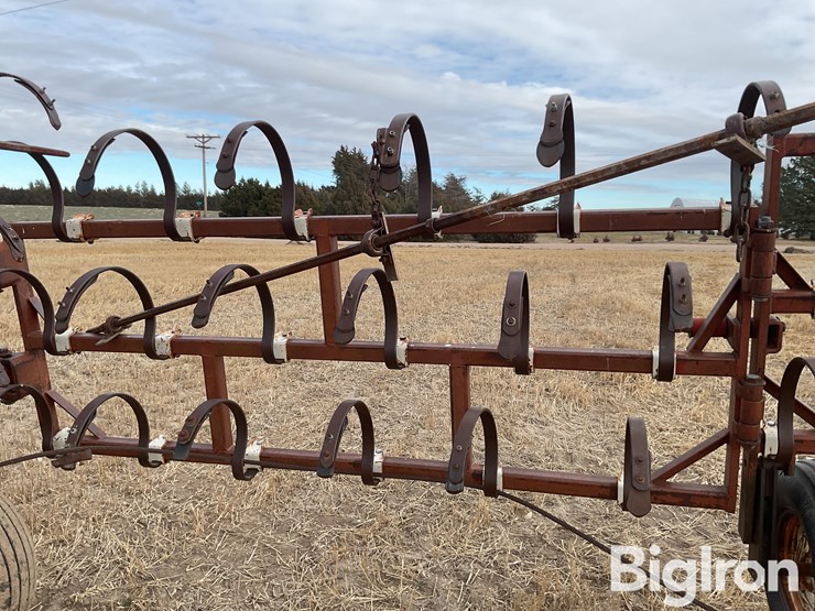 international-3-image-17