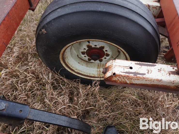 international-15-image-20