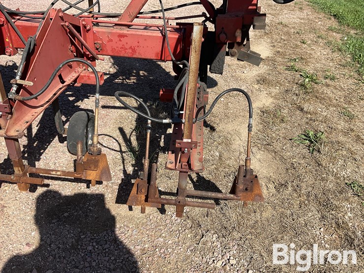 international-16-image-20