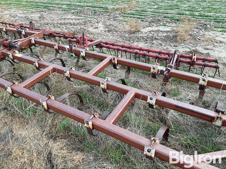 international-55-image-19