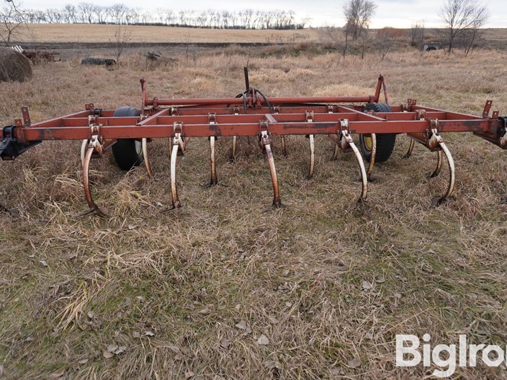 international-15-image-6