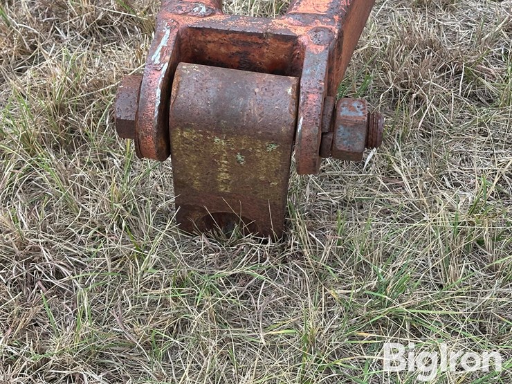 sunflower-ta-24-image-9