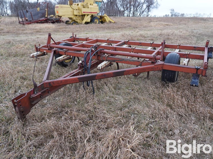 international-15-image-1