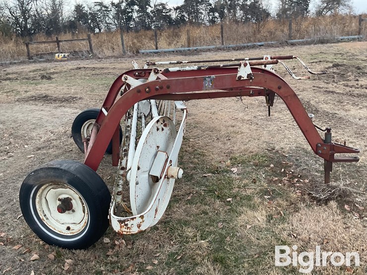 international-35-image-4