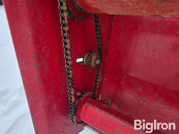 international-80-image-14