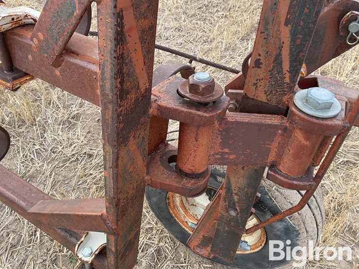 international-3-image-20