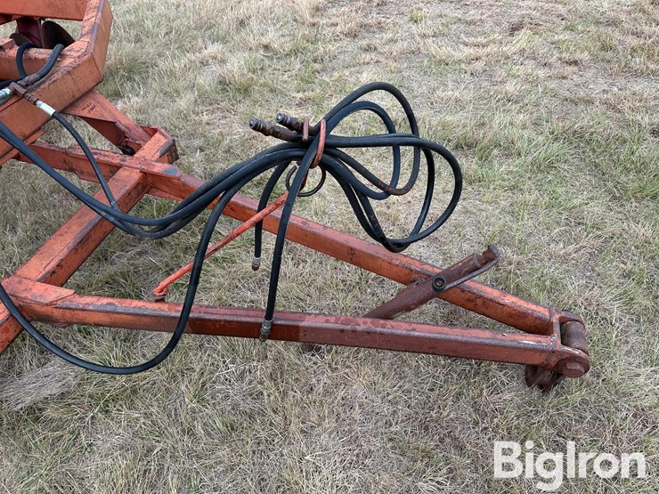 sunflower-ta-24-image-10