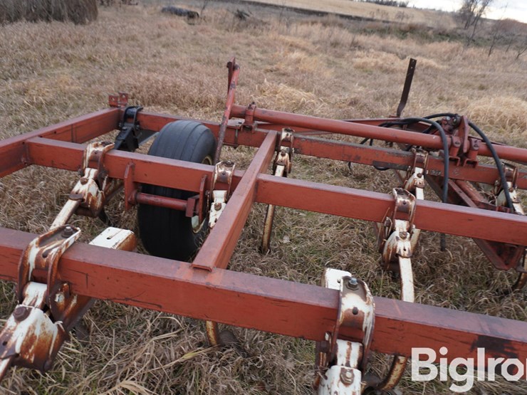 international-15-image-15