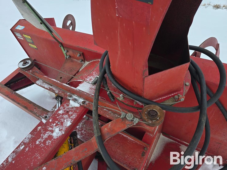 international-80-image-10