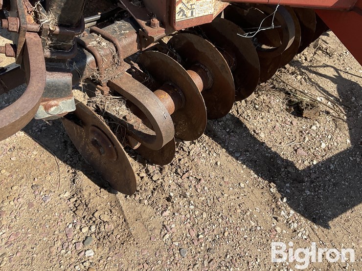 sunflower-1434-36-image-18