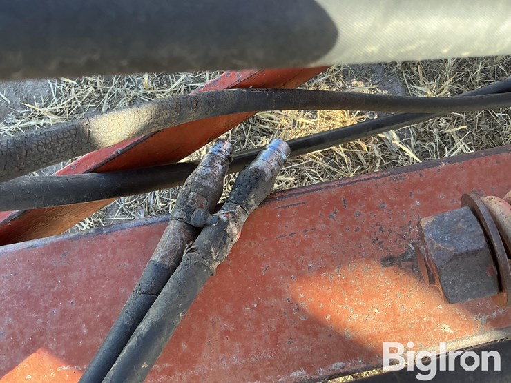 krause-1907-image-10