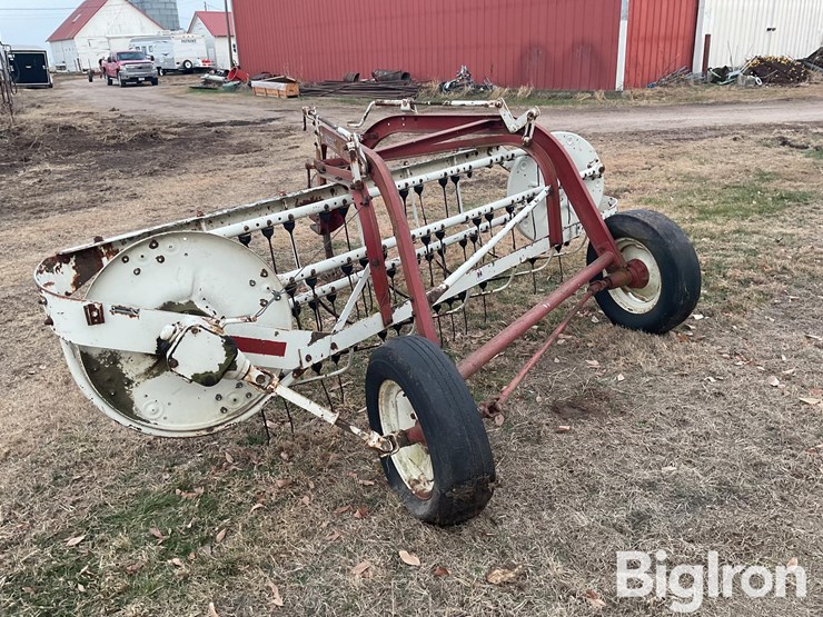 international-35-image-7