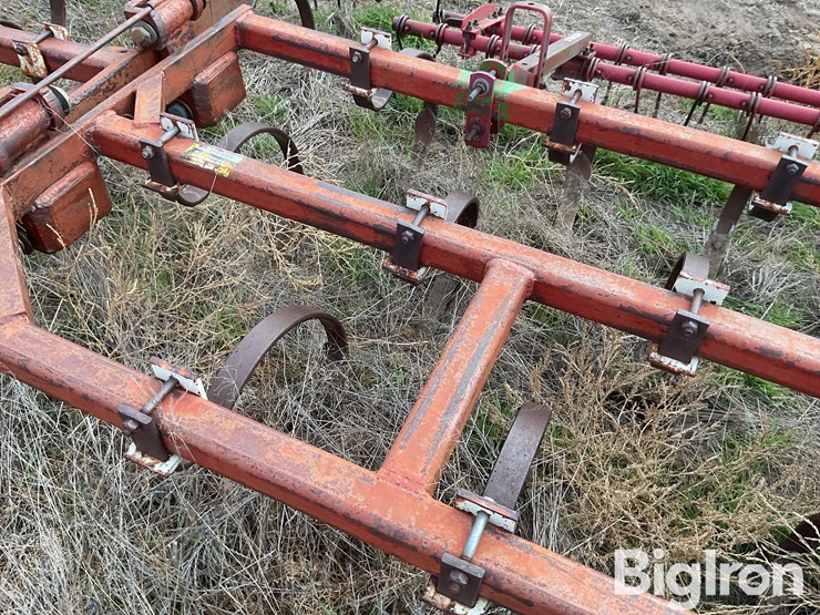 international-55-image-16