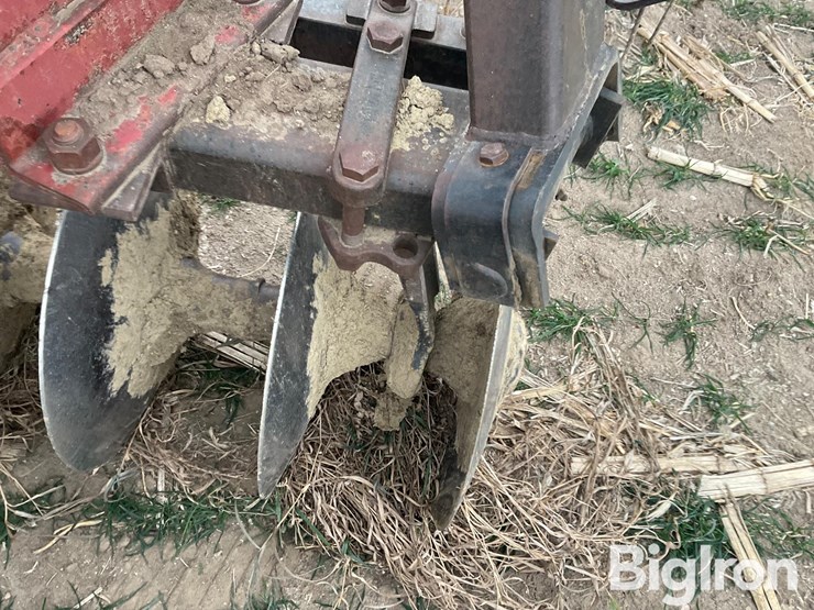 international-496-image-17