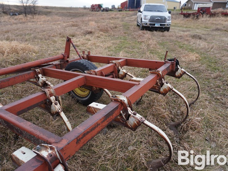 international-15-image-16