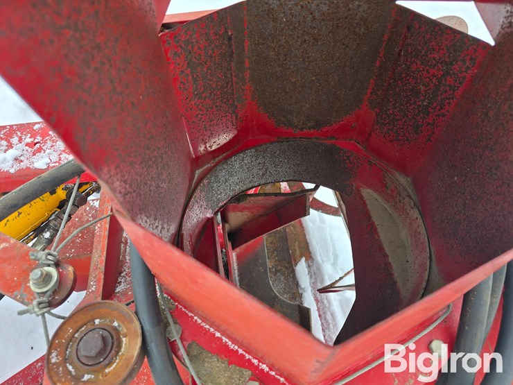 international-80-image-11