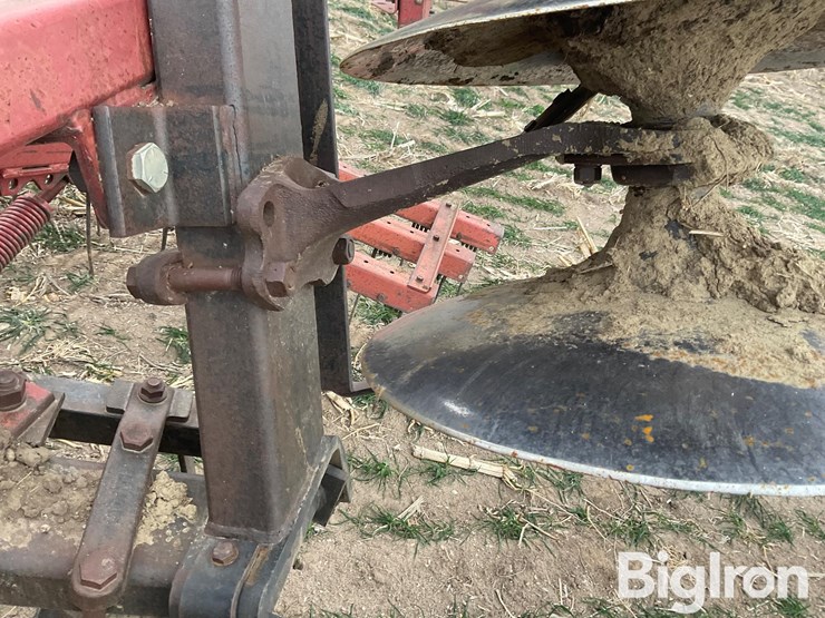 international-496-image-16