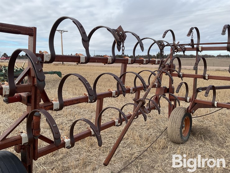 international-3-image-14