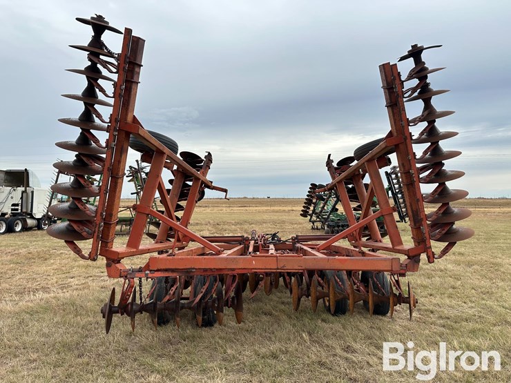 sunflower-ta-24-image-6