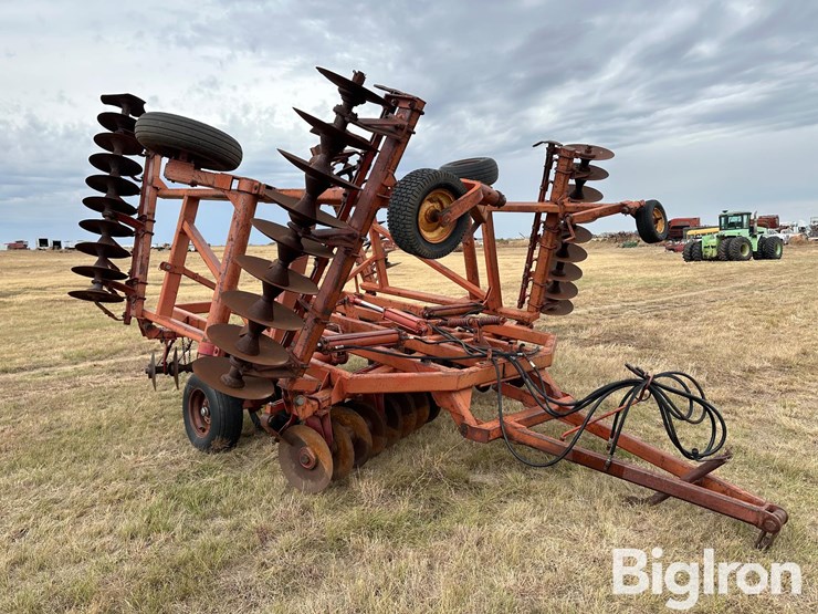 sunflower-ta-24-image-3