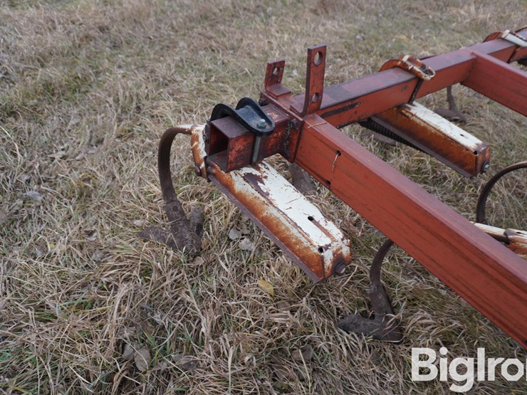 international-15-image-13