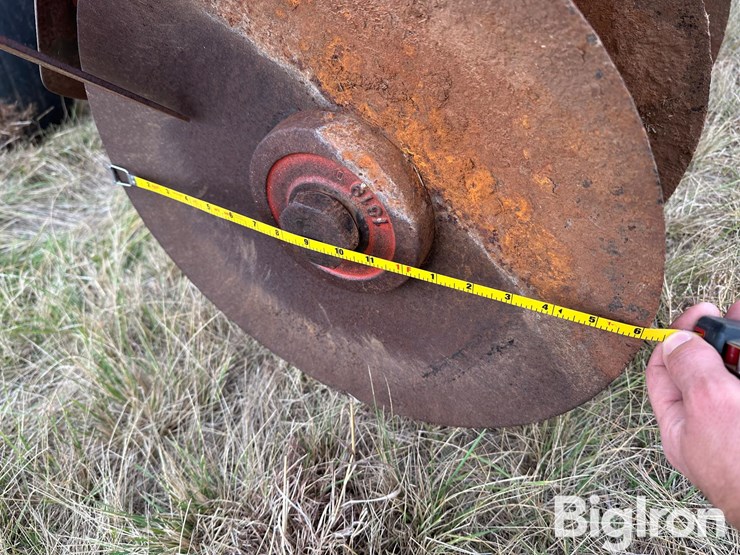 sunflower-ta-24-image-19