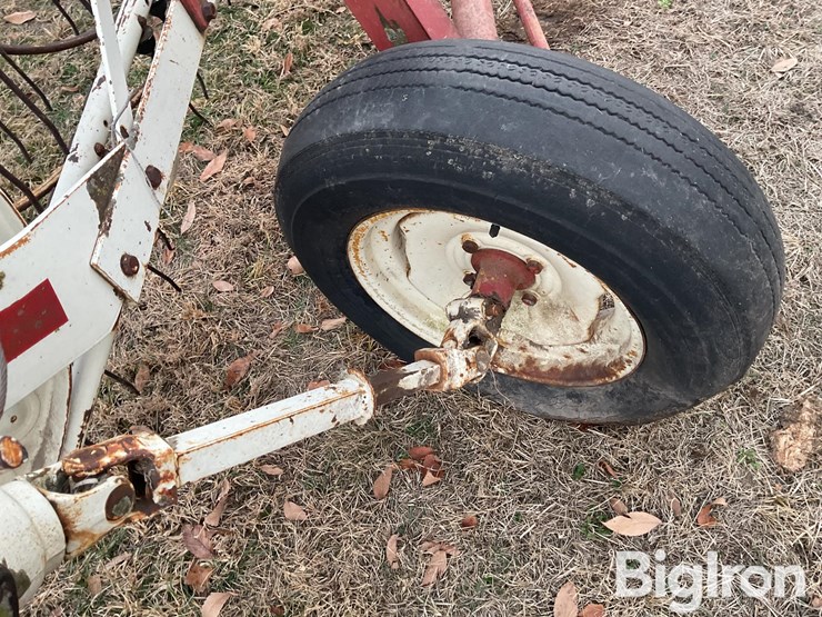 international-35-image-14