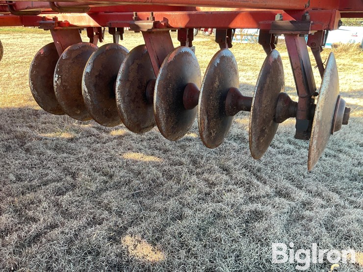 sunflower-1440-35-image-15