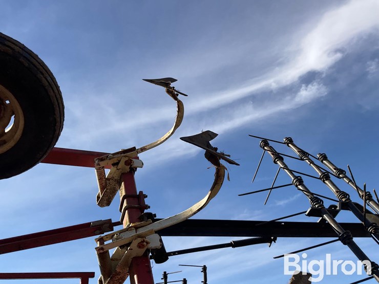 wil-rich-3400-image-20