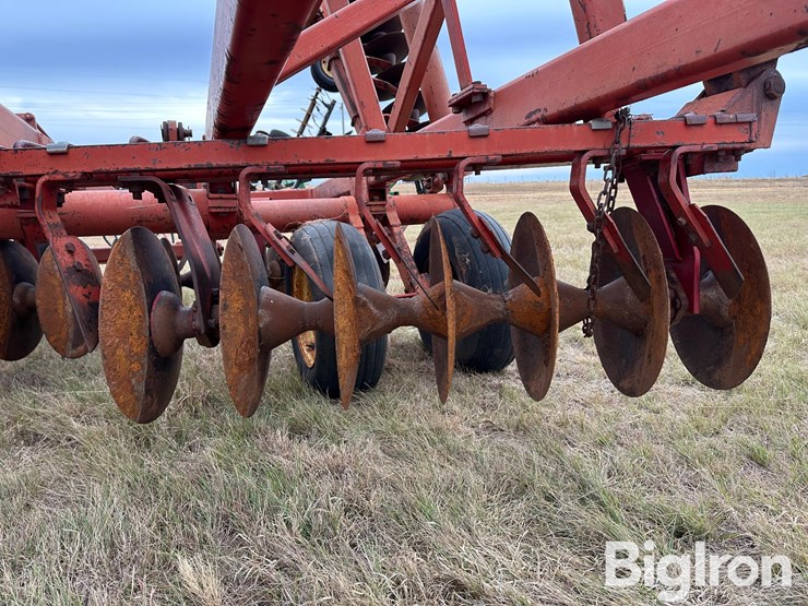 sunflower-ta-24-image-18