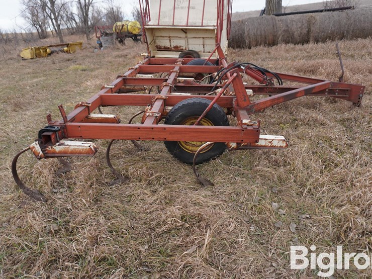 international-15-image-4