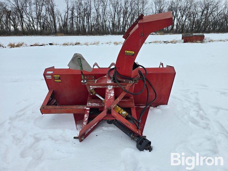 international-80-image-2