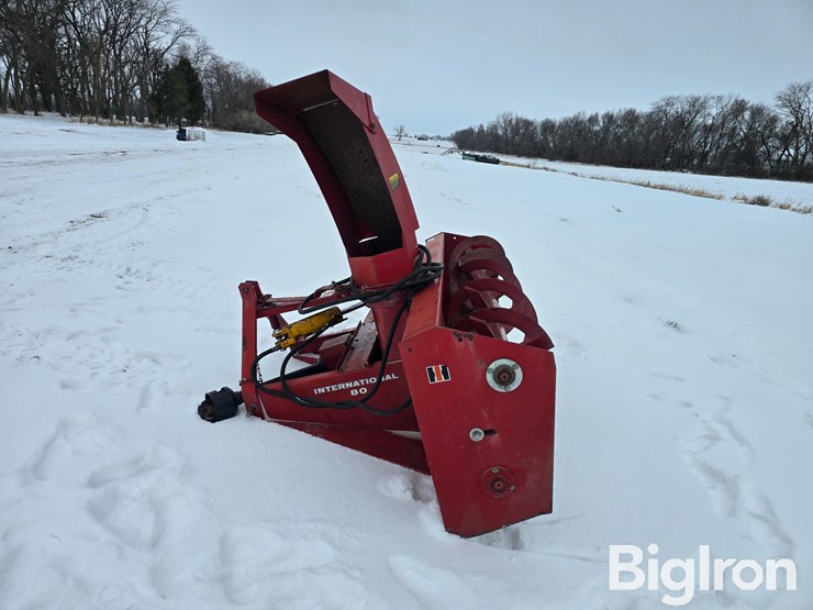 international-80-image-8