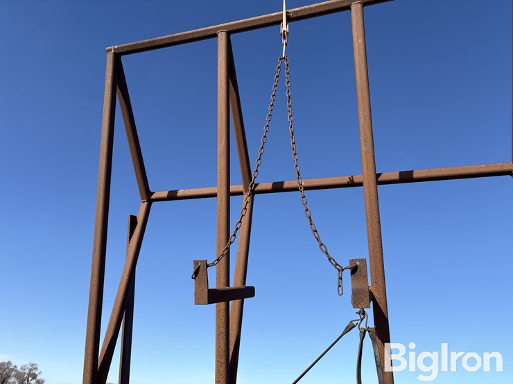 doonan-black-gold-image-19