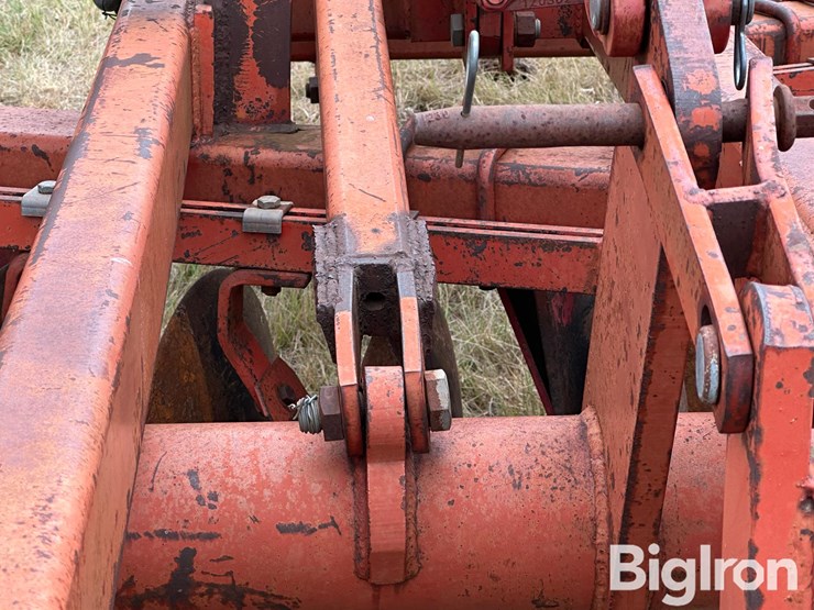 sunflower-ta-24-image-17