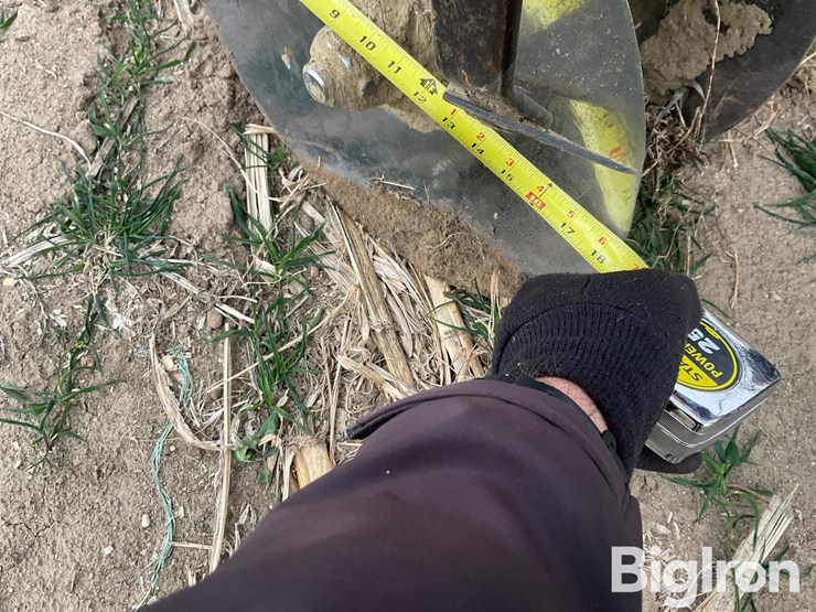 international-496-image-14