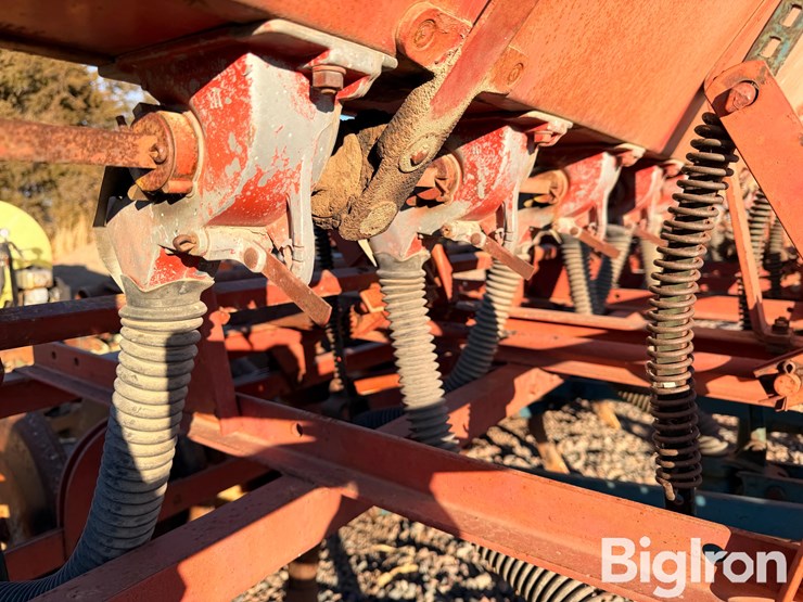 international-10-image-18