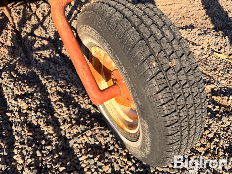 international-10-image-13