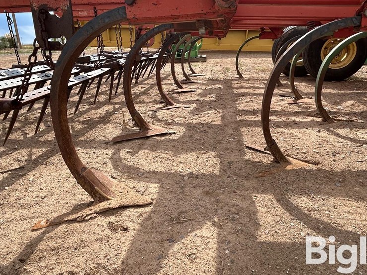 sunflower-4211-16-image-18