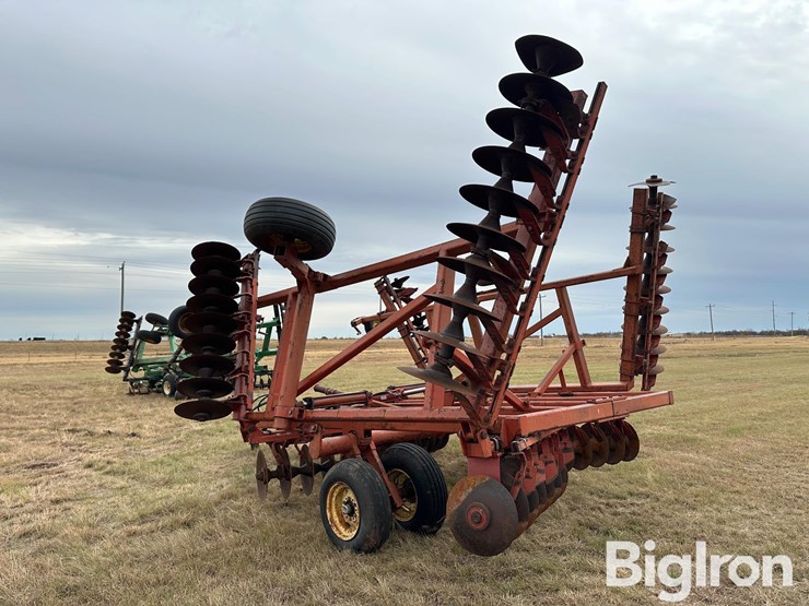 sunflower-ta-24-image-7