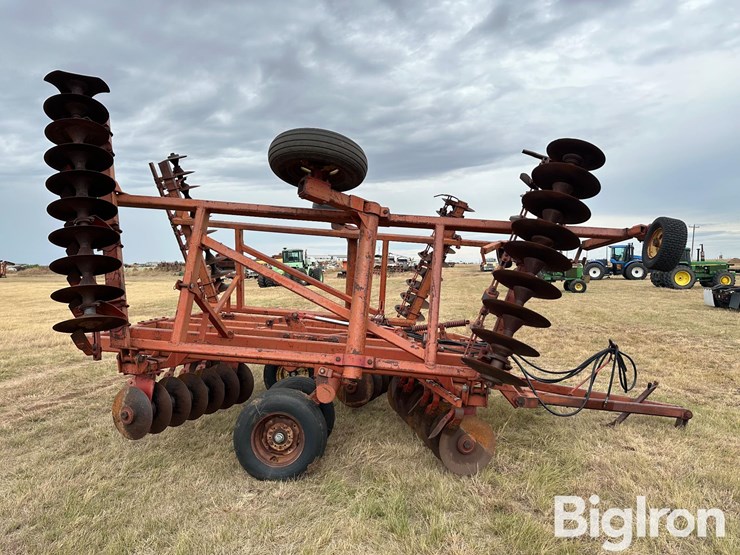 sunflower-ta-24-image-4