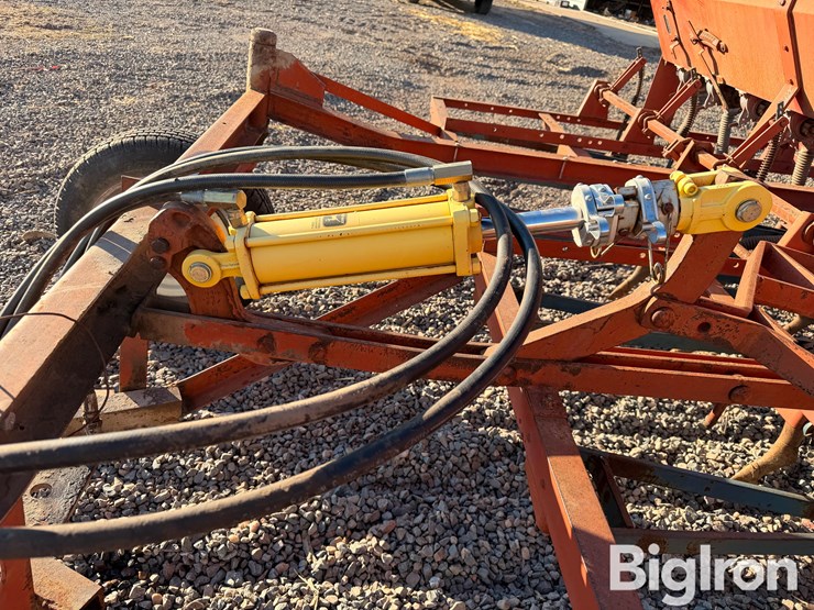 international-10-image-11