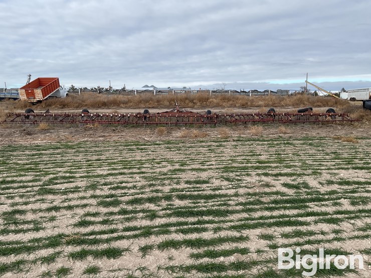 international-55-image-6