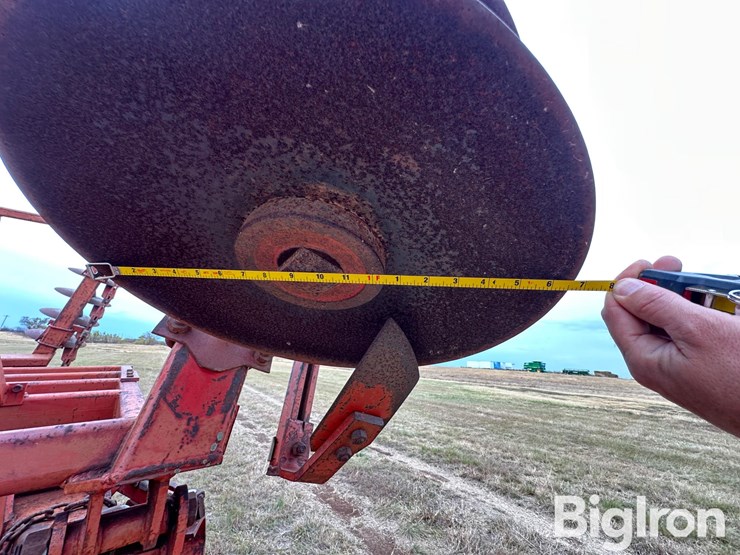 sunflower-ta-24-image-20