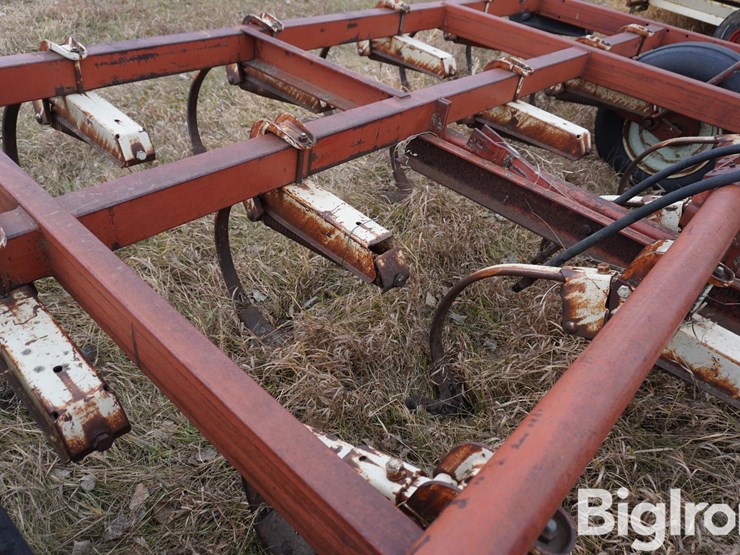 international-15-image-11