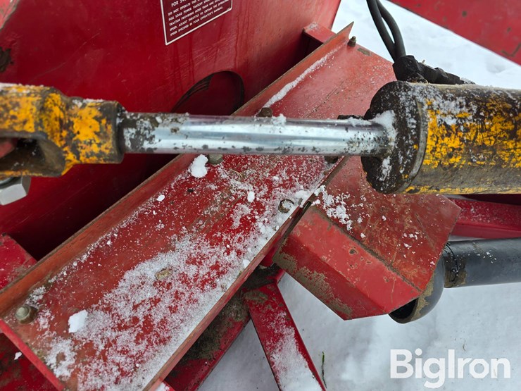 international-80-image-19