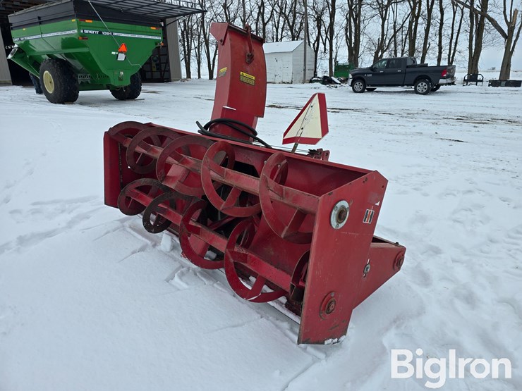 international-80-image-5