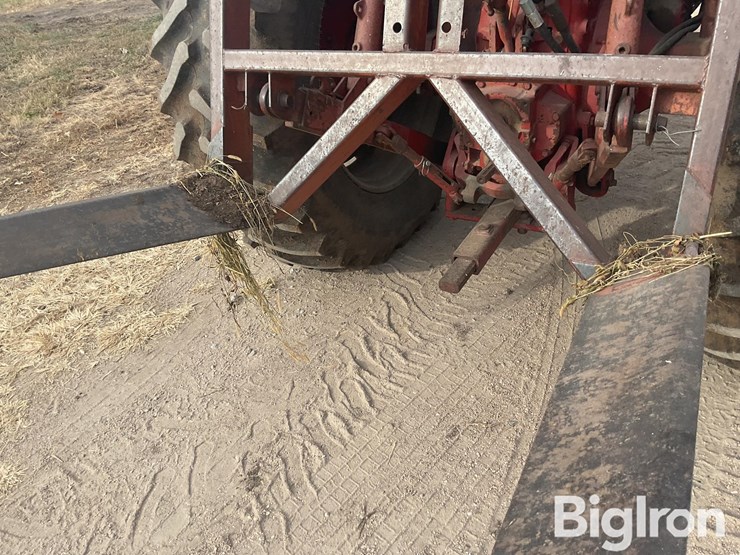 international-856-image-11