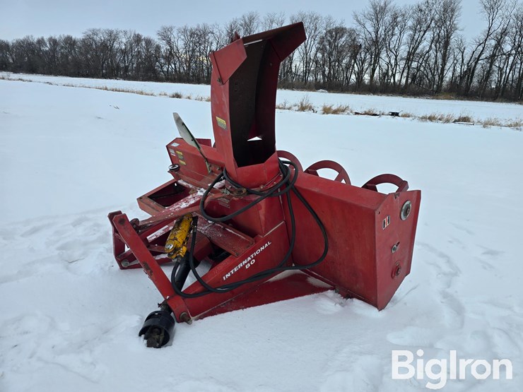 international-80-image-1