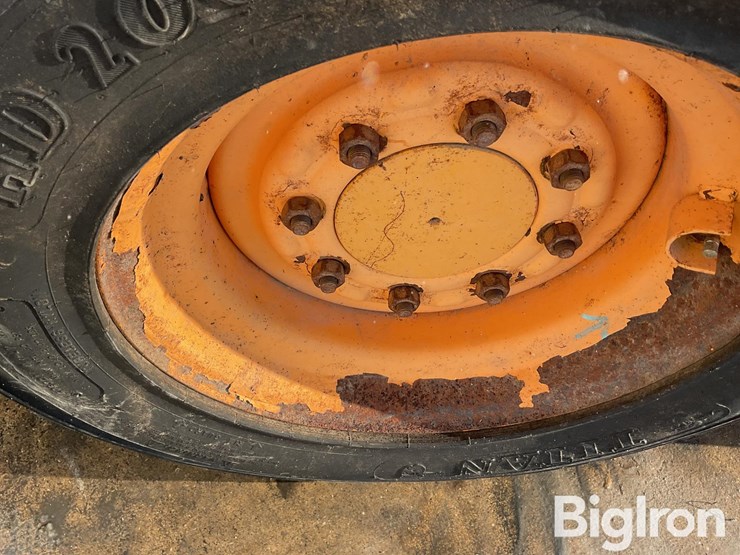 mustang-2054-image-16